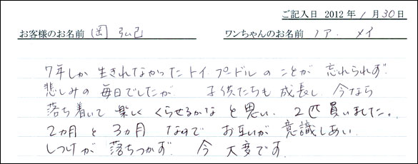 シェットランドシープドッグお客様の声