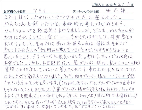 シェットランドシープドッグお客様の声