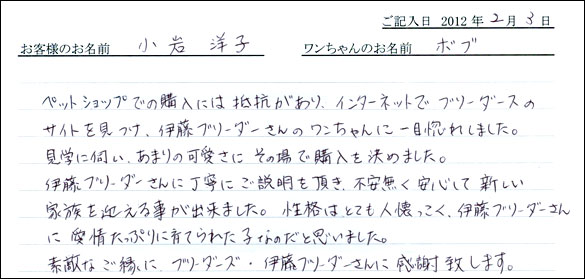 シェットランドシープドッグお客様の声