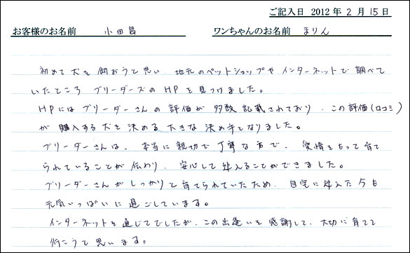 シェットランドシープドッグお客様の声