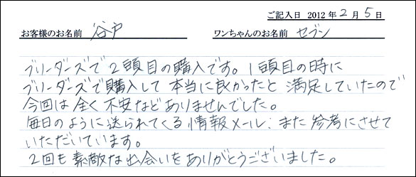 シェットランドシープドッグお客様の声
