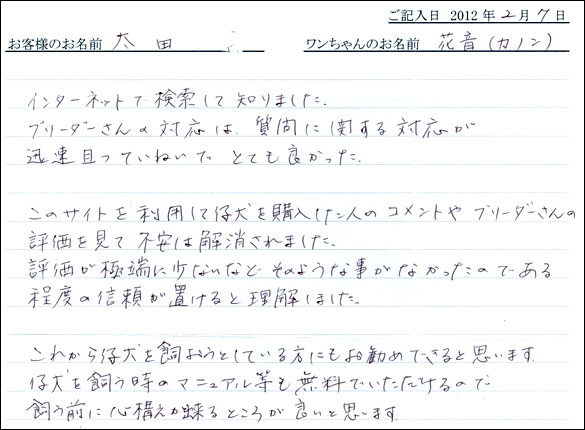 シェットランドシープドッグお客様の声