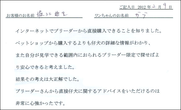 シェットランドシープドッグお客様の声
