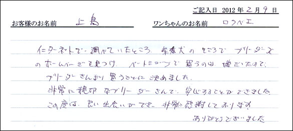 シェットランドシープドッグお客様の声