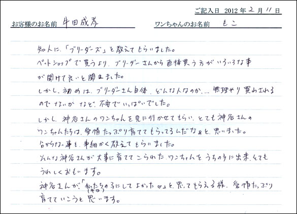 シェットランドシープドッグお客様の声