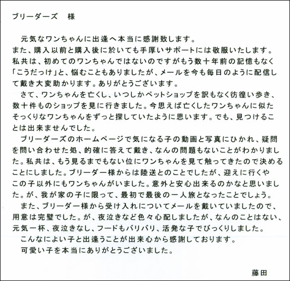 シェットランドシープドッグお客様の声