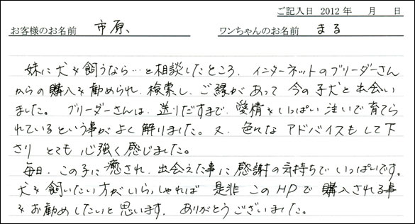 シェットランドシープドッグお客様の声