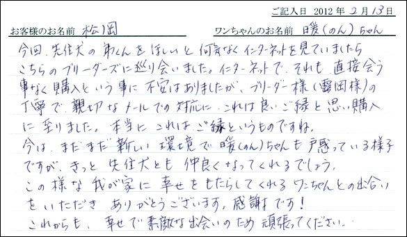 シェットランドシープドッグお客様の声