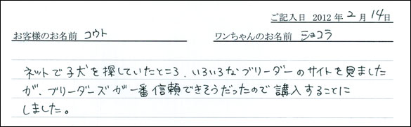 シェットランドシープドッグお客様の声