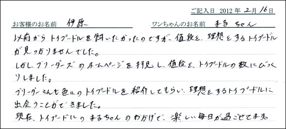 シェットランドシープドッグお客様の声