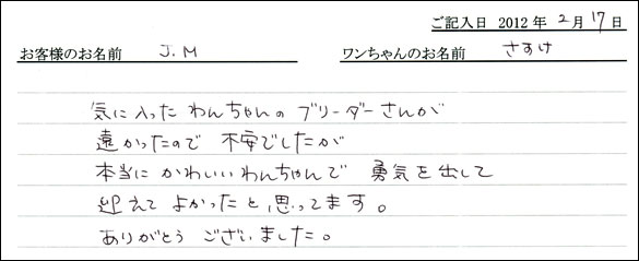 シェットランドシープドッグお客様の声
