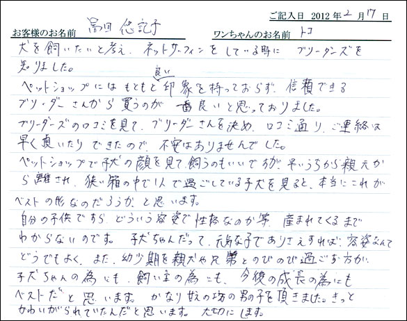 シェットランドシープドッグお客様の声