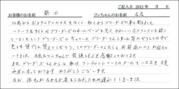 シェットランドシープドッグお客様の声