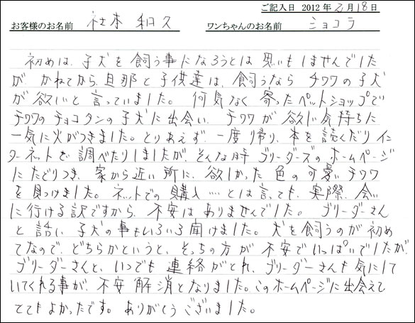 シェットランドシープドッグお客様の声