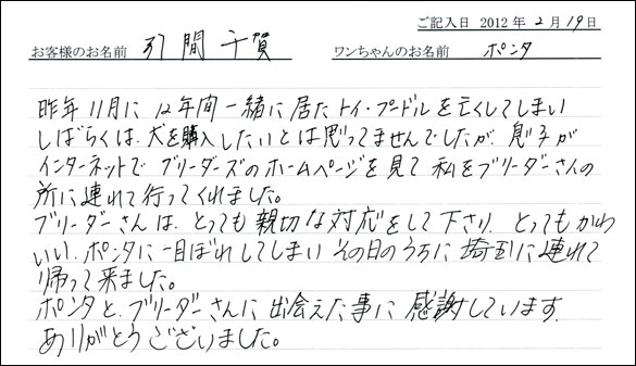 シェットランドシープドッグお客様の声