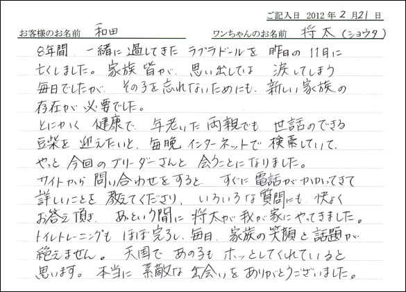 シェットランドシープドッグお客様の声