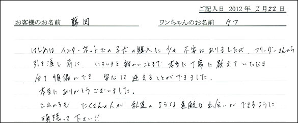 シェットランドシープドッグお客様の声