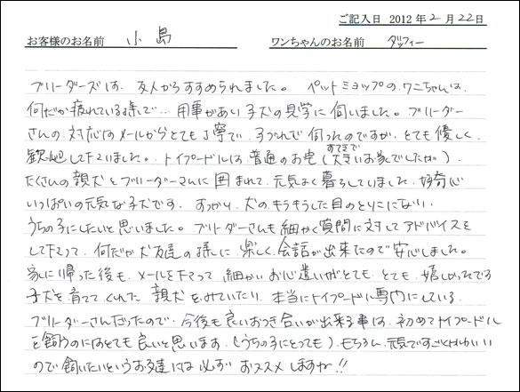 シェットランドシープドッグお客様の声