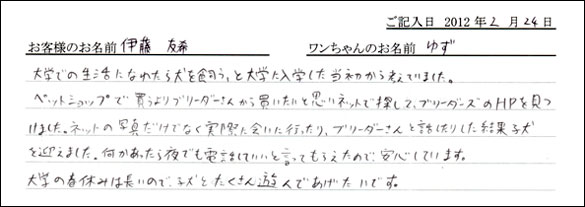 シェットランドシープドッグお客様の声