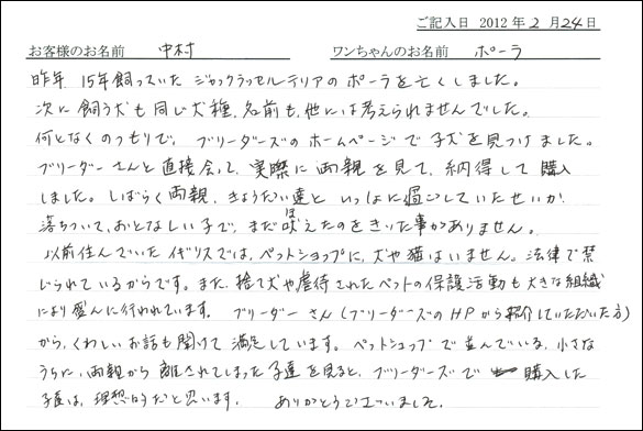 シェットランドシープドッグお客様の声