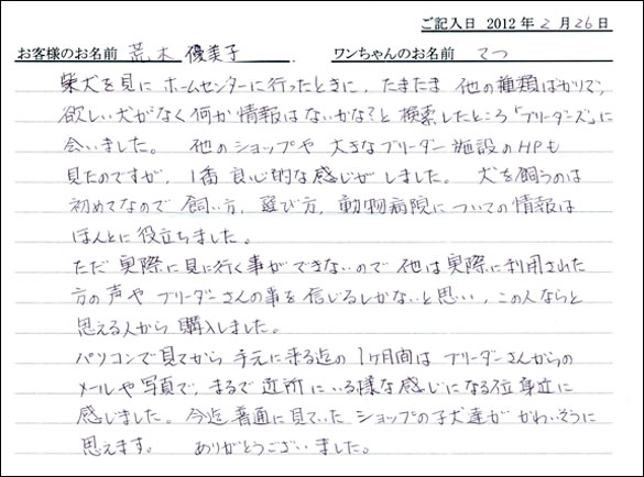 シェットランドシープドッグお客様の声
