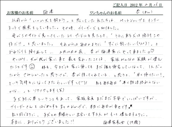 シェットランドシープドッグお客様の声