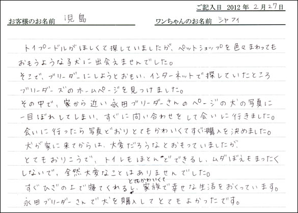 シェットランドシープドッグお客様の声
