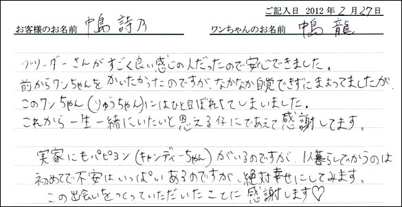 シェットランドシープドッグお客様の声