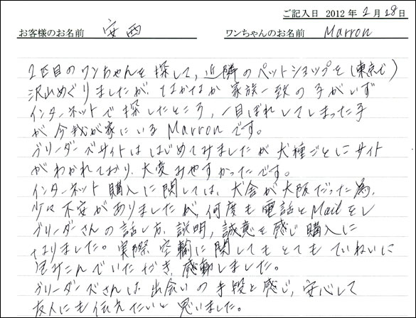 シェットランドシープドッグお客様の声