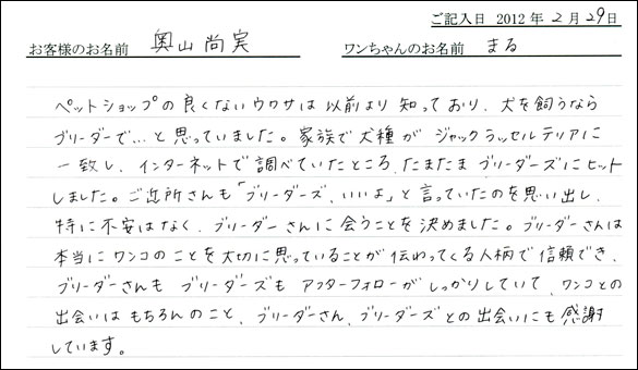 シェットランドシープドッグお客様の声