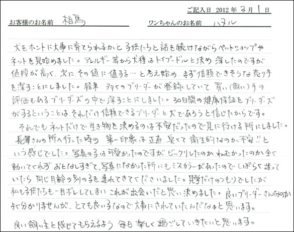 シェットランドシープドッグお客様の声