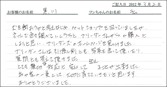 シェットランドシープドッグお客様の声