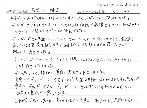 シェットランドシープドッグお客様の声