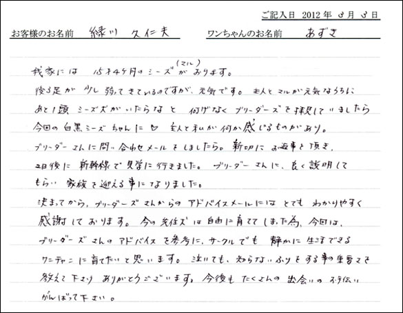 シェットランドシープドッグお客様の声