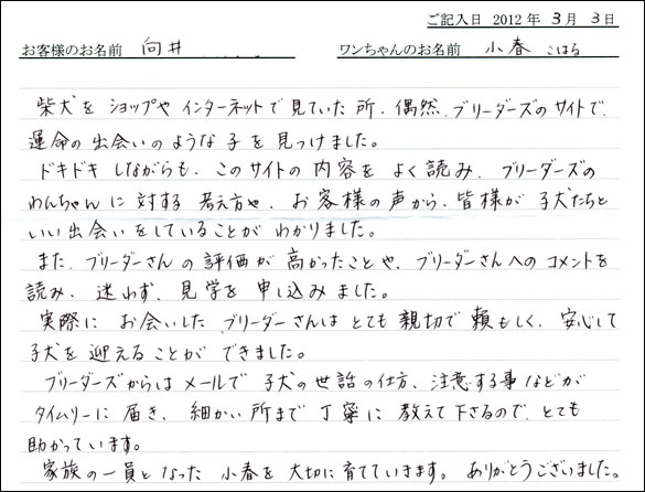 シェットランドシープドッグお客様の声