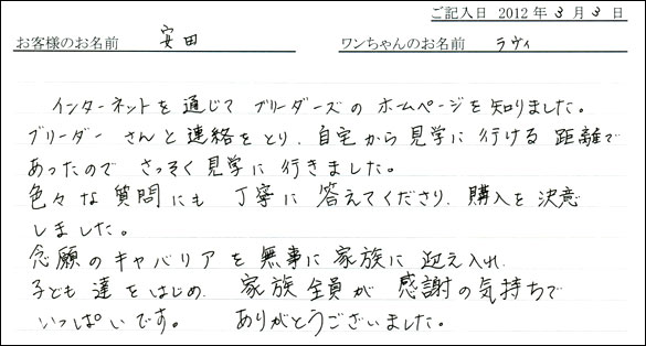 シェットランドシープドッグお客様の声