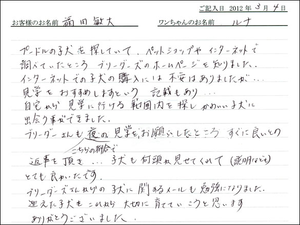 シェットランドシープドッグお客様の声