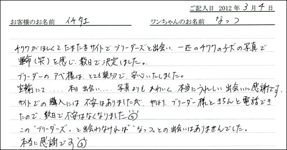 シェットランドシープドッグお客様の声