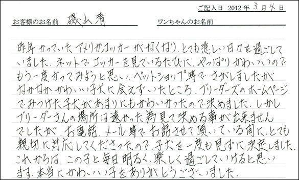 シェットランドシープドッグお客様の声
