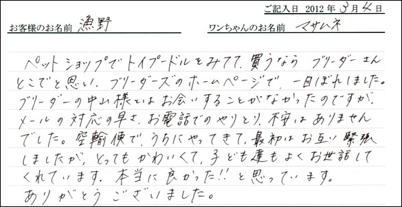 シェットランドシープドッグお客様の声