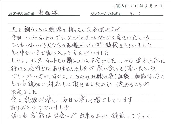 シェットランドシープドッグお客様の声