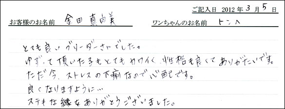 シェットランドシープドッグお客様の声