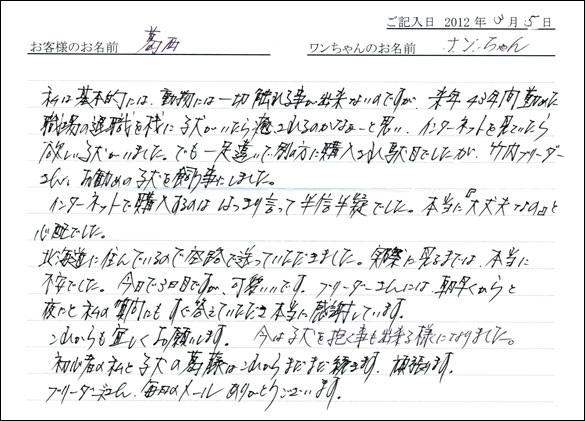 シェットランドシープドッグお客様の声