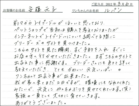 シェットランドシープドッグお客様の声