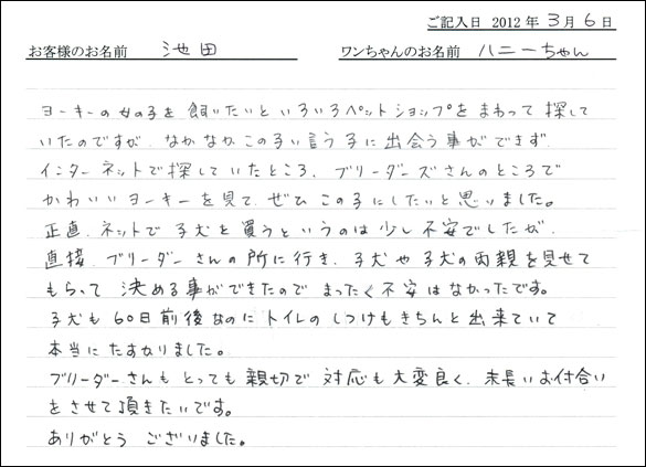シェットランドシープドッグお客様の声