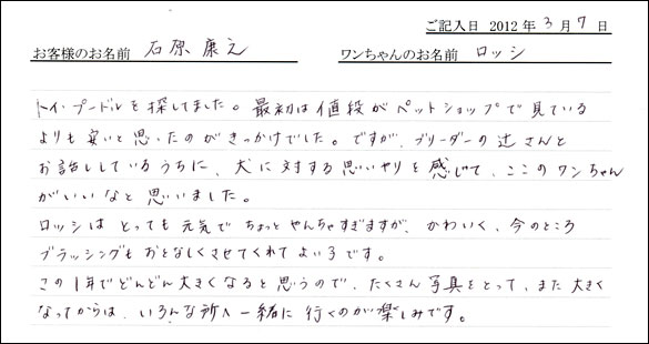 シェットランドシープドッグお客様の声