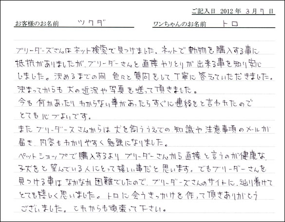 シェットランドシープドッグお客様の声