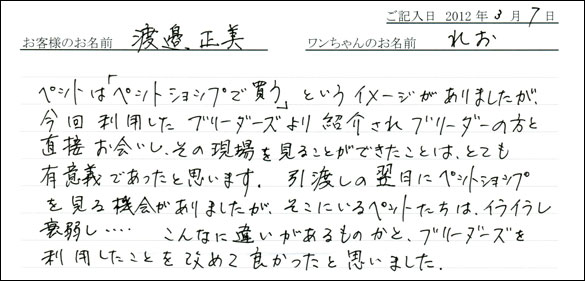 シェットランドシープドッグお客様の声