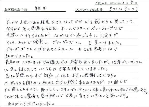 シェットランドシープドッグお客様の声