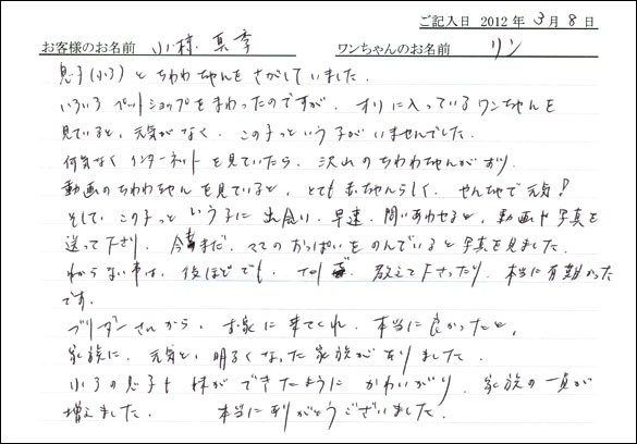 シェットランドシープドッグお客様の声